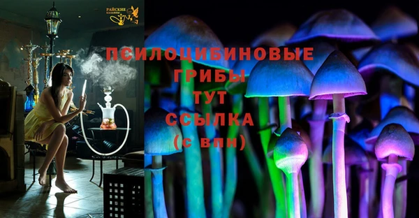 эйфоретик Приозерск